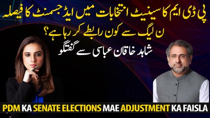 PDM's decided to make adjustments in Senate elections. Special talk with Shahid Khaqan Abbasi