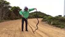 Il nous montre comment attraper un grand serpent