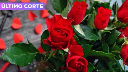 La romántica historia de cómo nació el Día de San Valentín