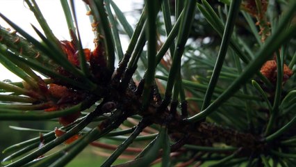 (Vanha video) - Valokuvaaminen - E19 - Korkeimmantotuuden vlogi