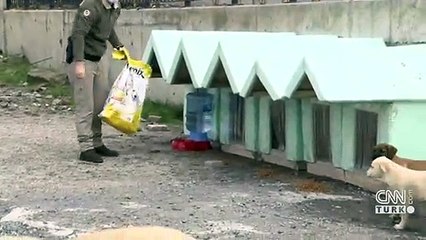 Sokak hayvanları unutulmadı