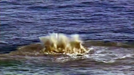 South Pacific Mother Island l Natures Creation