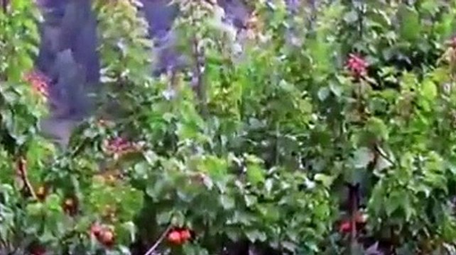 Vacanza Val senales estate 2020 Gianni Cenerino DJ