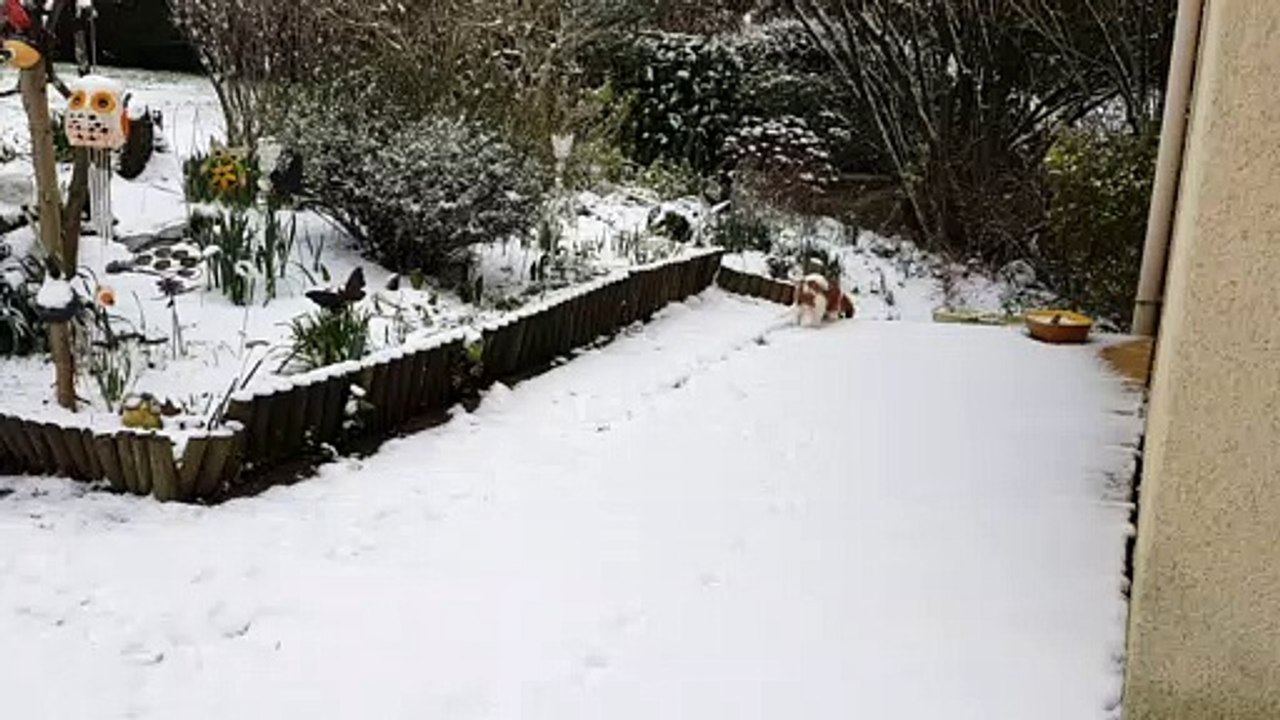 Rey Ponce au jardin dans la neige