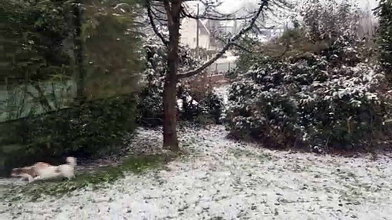 Par la fenêtre, les 3 petites jouent au jardin