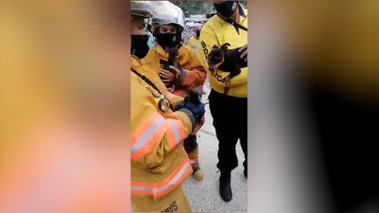 ext-rescate-perritos-130221