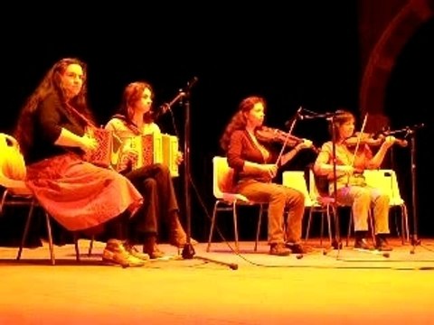 Bourrée laine des moutons