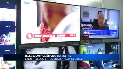 Transition numérique: Excaf télécom confie la diffusion à la Tds, mais sera toujours partenaire de l'Etat