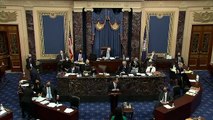 House Manager Rep. Jamie Raskin's FULL closing argument during Trump impeachment trial