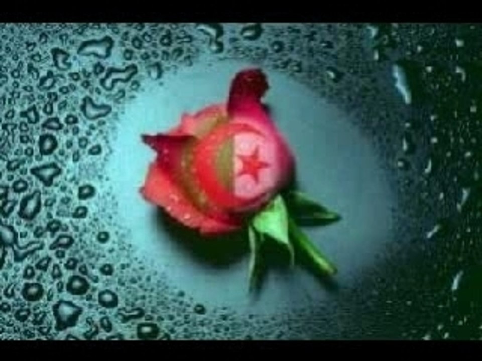 ZIK CHAOUIIII TROP FORTEEE !!!