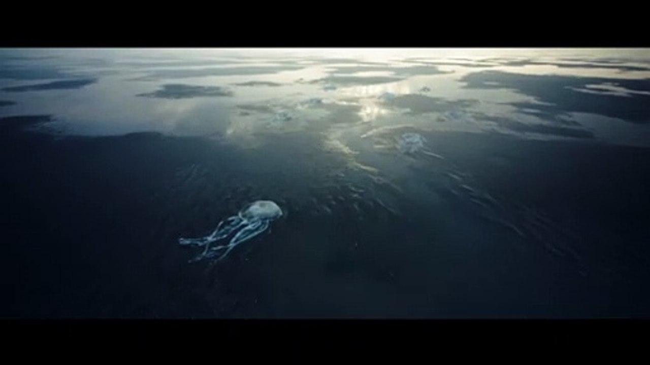 TIDES Film