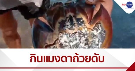 ยำแมงดาถ้วยแกล้มเหล้า ดับ 1 สาหัส 1