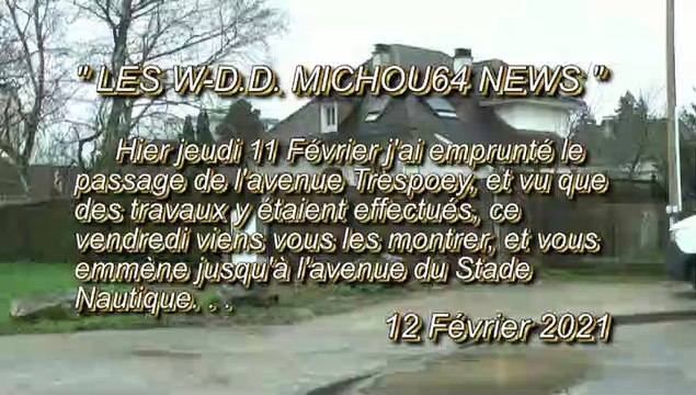 LES W-D.D. MICHOU64 NEWS - 12 FÉVRIER 2021 - PAU - POSE D'UNE NOUVELLE CLÔTURE AU DÉBUT DU PASSAGE DE L'AVENUE TRESPOEY