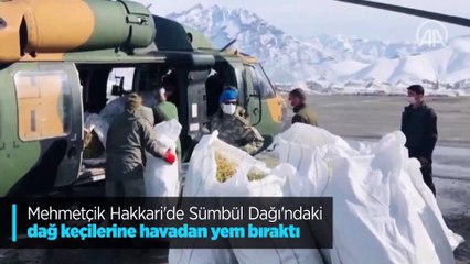 Mehmetçik Hakkari'de Sümbül Dağı'ndaki dağ keçilerine havadan yem bıraktı