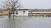 Gediz Ovası sular altında kaldı