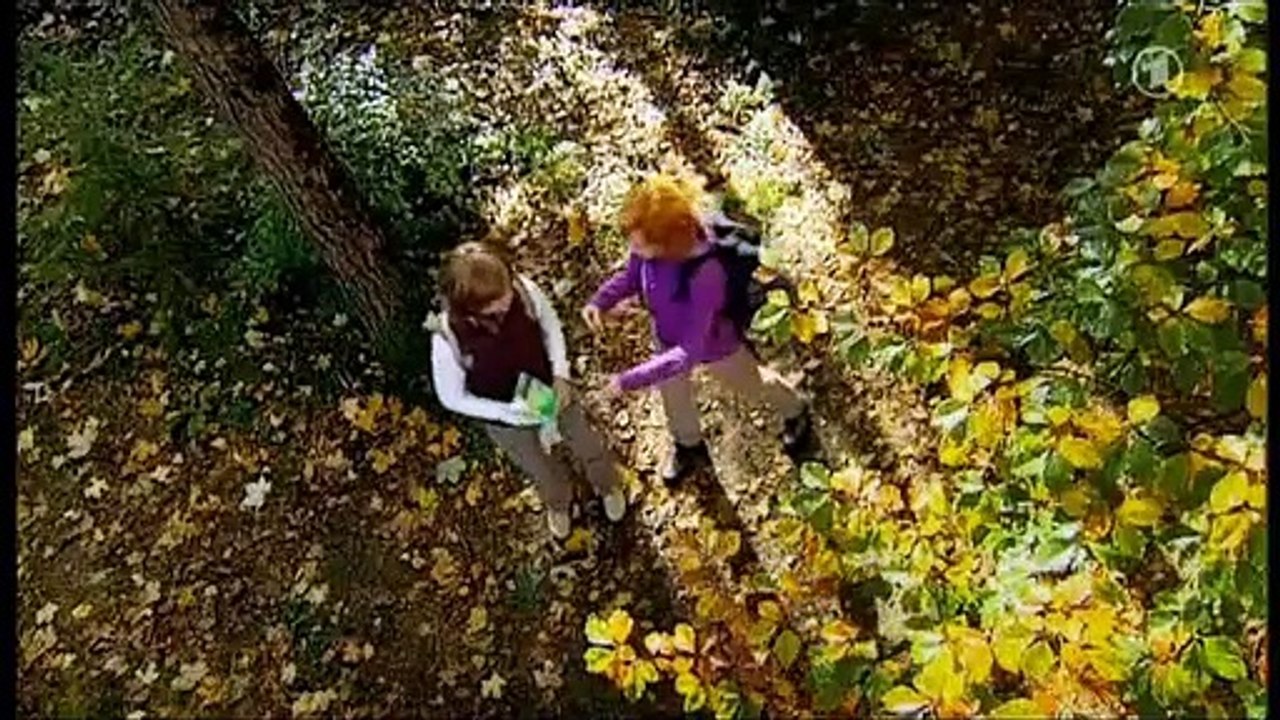 Sturm der Liebe, Folge 738 3/5