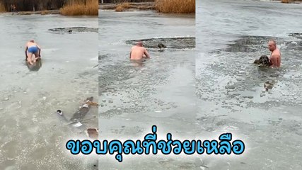 นาทีชีวิต ! ชายเปลื้องผ้าเสี่ยงตาย ช่วยหมาตกธารน้ำแข็ง