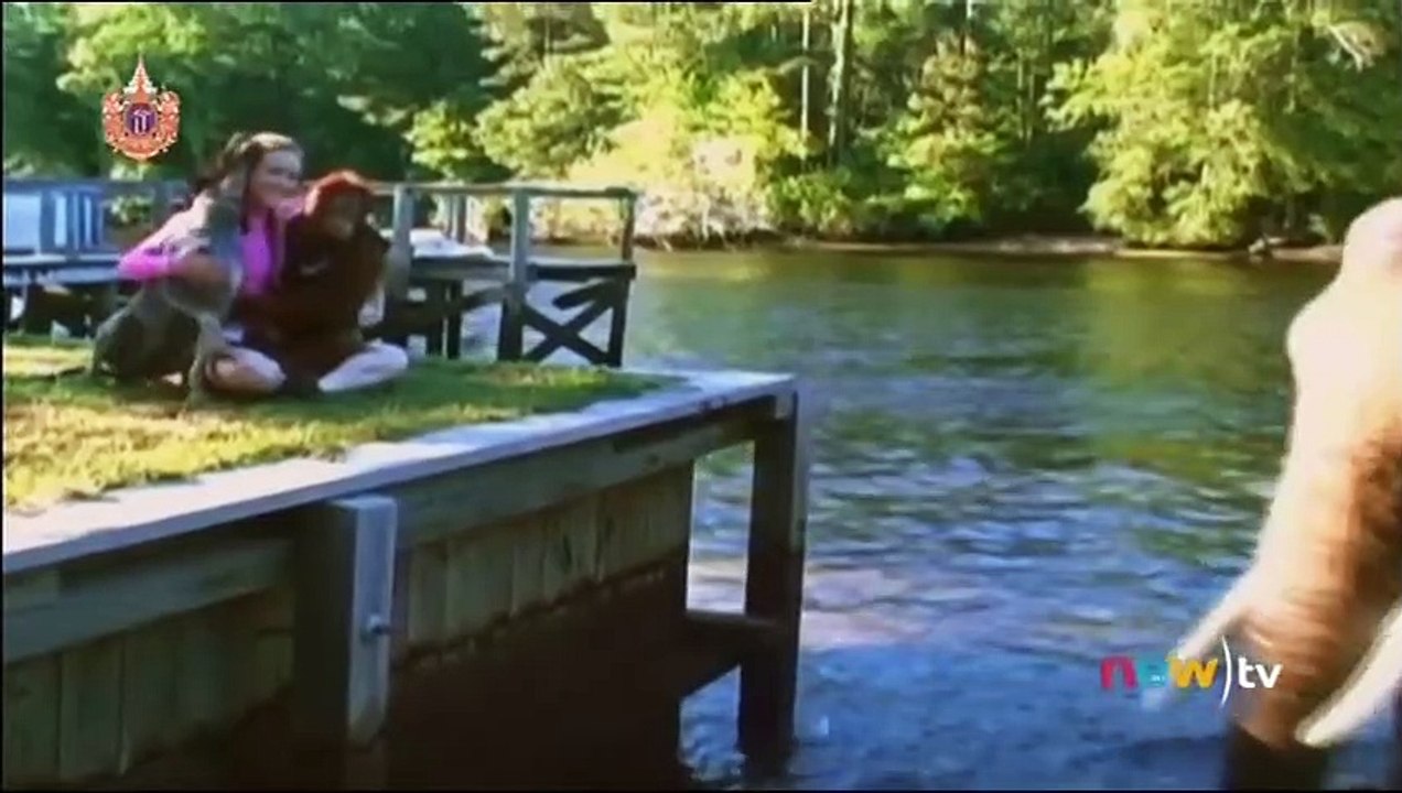 สารคดี ตอน เพื่อนรักต่างสายพันธุ์