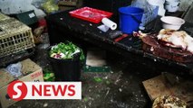 Immigration busts 'nauseating and dirty' illegal sundry shop on first floor of Sg Petani shoplot