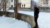 Yüksekova’da şehir merkezine inen kurt korkuttu