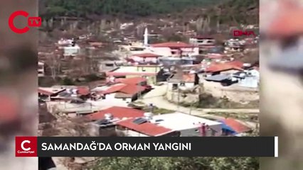 Hatay'ın Samandağ ilçesinde orman yangını çıktı