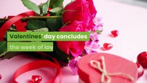 Happy Valentine's Day 2021 Wishes messages images love quotes