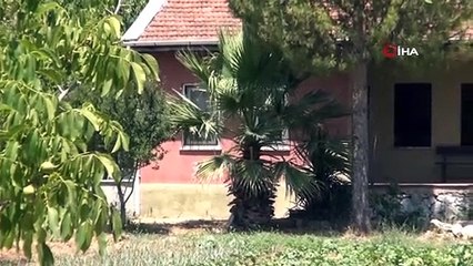 Pınar Gültekin cinayetinde sanık Avcı’nın eşi dinlenecek