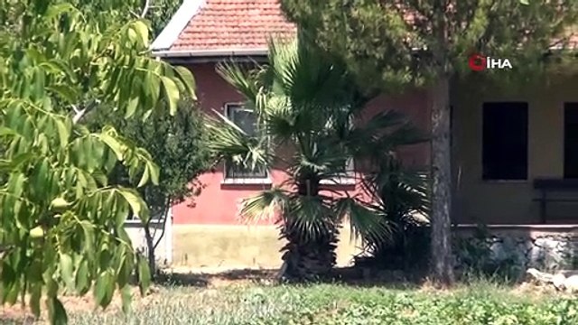 Pınar Gültekin cinayetinde sanık Avcı’nın eşi dinlenecek