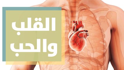 هل القلب مسؤول عن الحب علميا؟