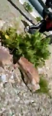 Bolivia: explotó un camión que transportaba oxígeno medicinal y murieron dos argentinos