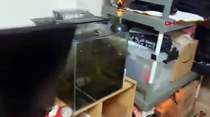 Japonya'daki 7.3'lük depreme küvette yakalandı!