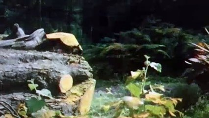 Doctor Who S18E10 Full Circle Pt 2 - (1963)