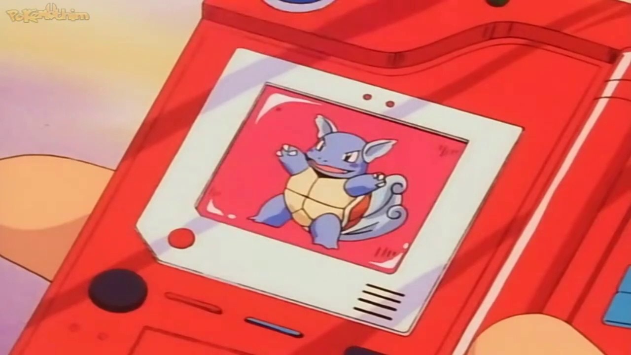 pokedex #008 wartortle