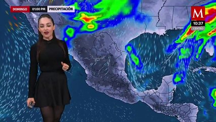 Emily Quinones (14/02/2021)