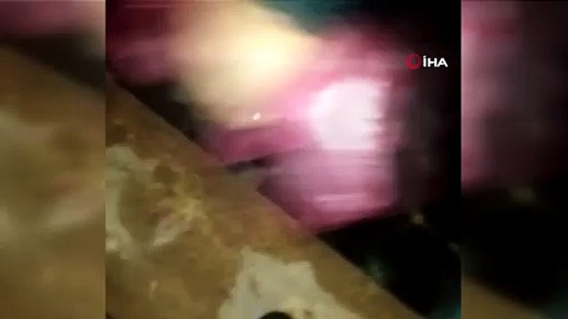 Diyarbakır’da yürekleri ısıtan görüntü...Gençler dere yatağına düşen köpeği kurtardı