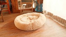 Soft & Warm Calming Pet Bed