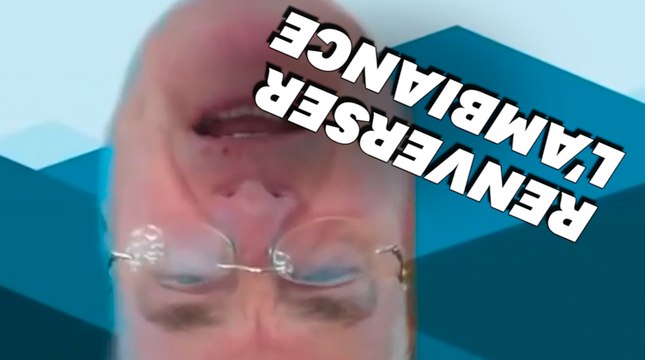 Vous êtes à l'envers : la visioconférence improbable de cet élu américain