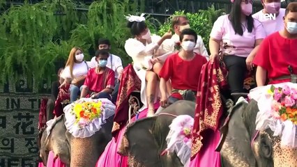 "الزواج هو الخطوة الأولى نحو الطلاق" ❤️.. هذه هي رسائل 118 زوجا في تايلاند عن العزوبية وعيد الحب