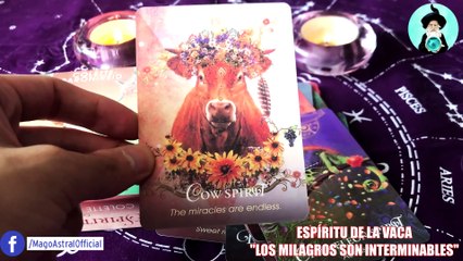 UNBOXING THE SPIRIT ANIMAL ORACLE (EL ORACULO DEL ESPIRITU ANIMAL) | MAGO ASTRAL