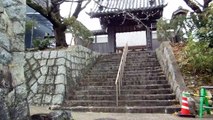 Japanese Temple Stroll