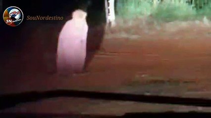 APARIÇÕES NAS ESTRADAS (FANTASMAS)