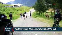 TNI - Polri Terlibat Baku Tembak dengan KKB di Puncak Papua, Satu Personel TNI Luka Ringan