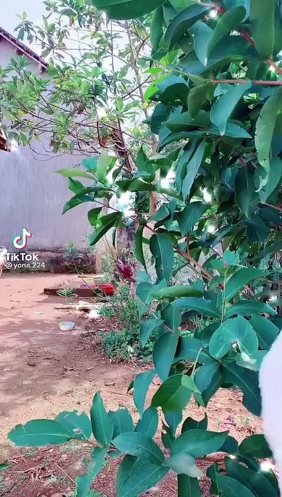Em Dep Lam Cô Gái Dễ Thường Nhảy Phân 5