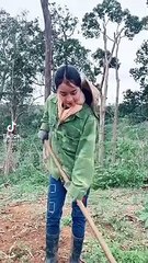 Em Đep Lam Cô Gái Dễ Thường Cáo Cỏ Phân 8