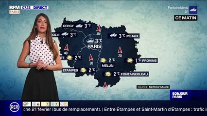 Météo Paris-Ile de France du 15 février : Des températures faiblement positives
