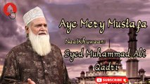 Aye Mery Mustafa | Naat | Prophet Mohammad PBH | Syed Muhammad Ali Qadri | HD