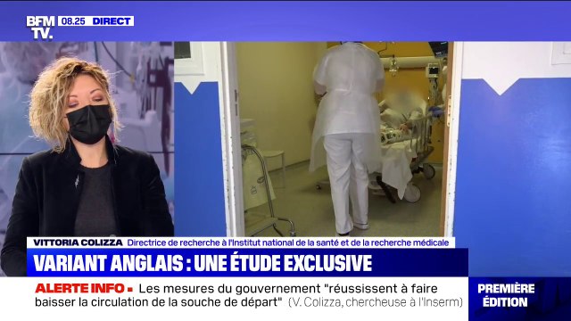 Pour la chercheuse à l'Inserm Vittoria Colizza, les mesures prises par le gouvernement ont réussi à impacter la circulation de la souche historique