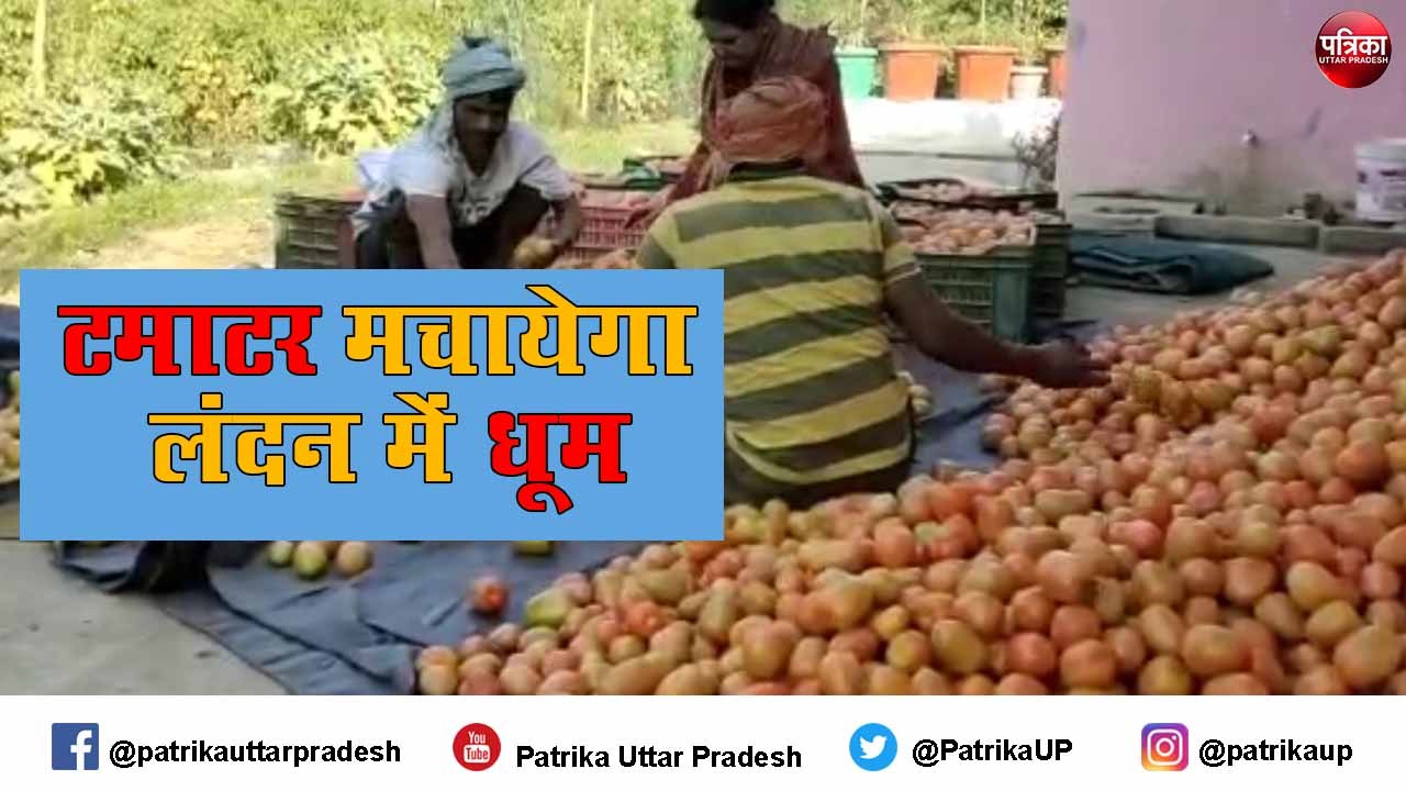 मिर्ज़ापुर का टमाटर लंदन और ओमान में मचायेगा धूम