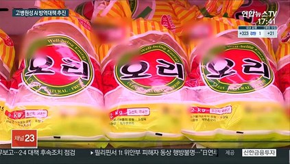 고병원성 AI 살처분 기준 완화…계란 추가 수입