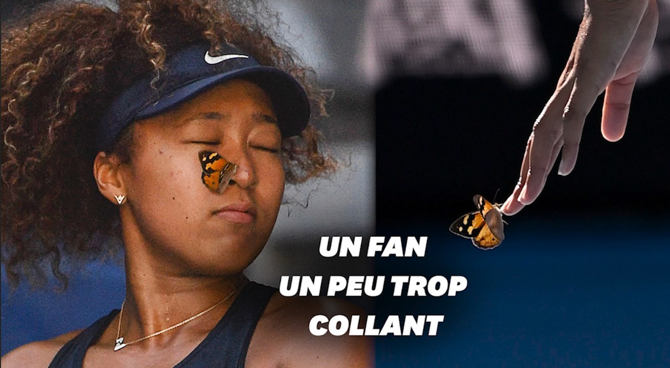 À l’Open d’Australie, ce papillon vole la vedette à Naomi Osaka